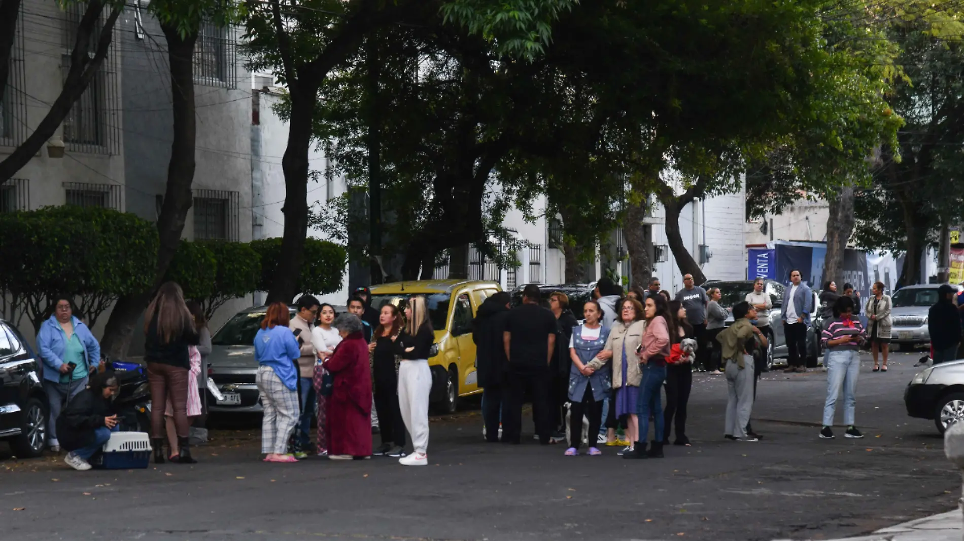 Personas -Alerta sísmica